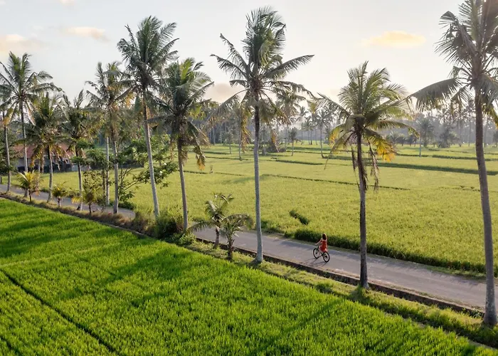 Thewakanda A Pramana Experience 5*