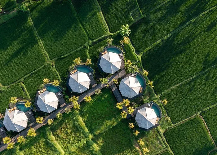 Thewakanda A Pramana Experience