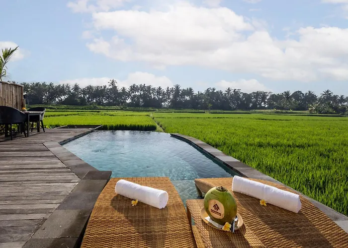 Thewakanda A Pramana Experience